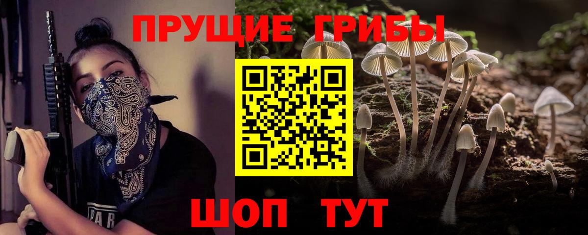 Лесозаводск  Галлюциногенные грибы MAGIC MUSHROOMS  Галлюциногенные грибы GOLDEN TEACHER  Вход с VPN 